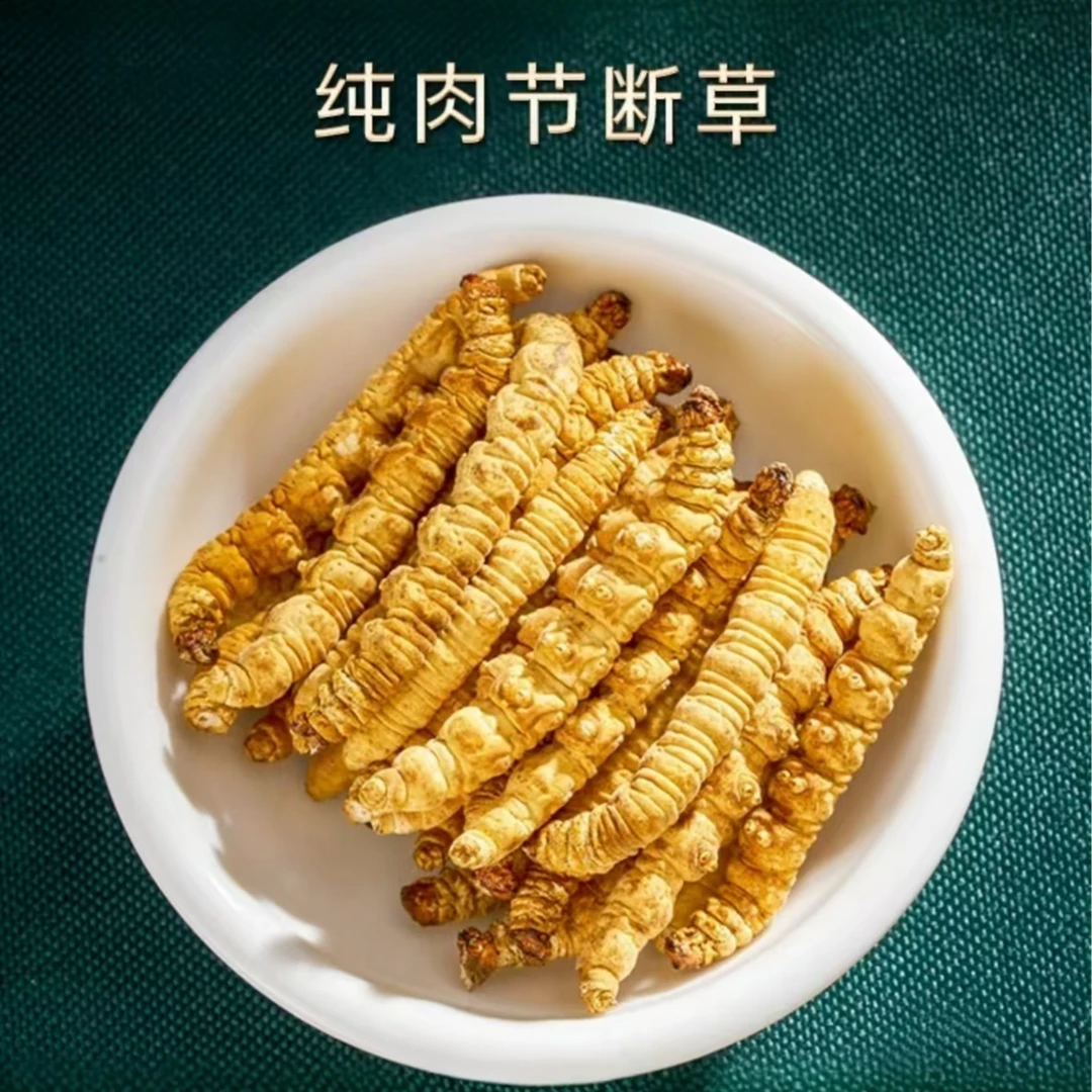 【纯肉节-无草头】藏区高海拔正品推荐自用高海拔虫草头期干货