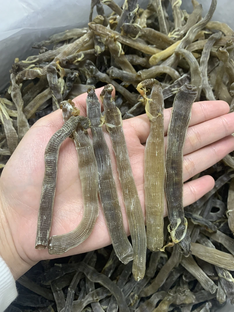 300头沙虫干渔民晾晒海味干货无沙淡晒足干煲汤500g
