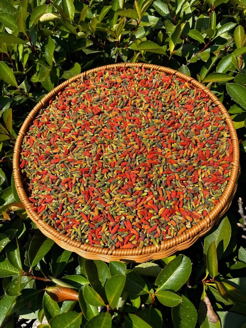 长白山花枸杞拍一发四，到手200克