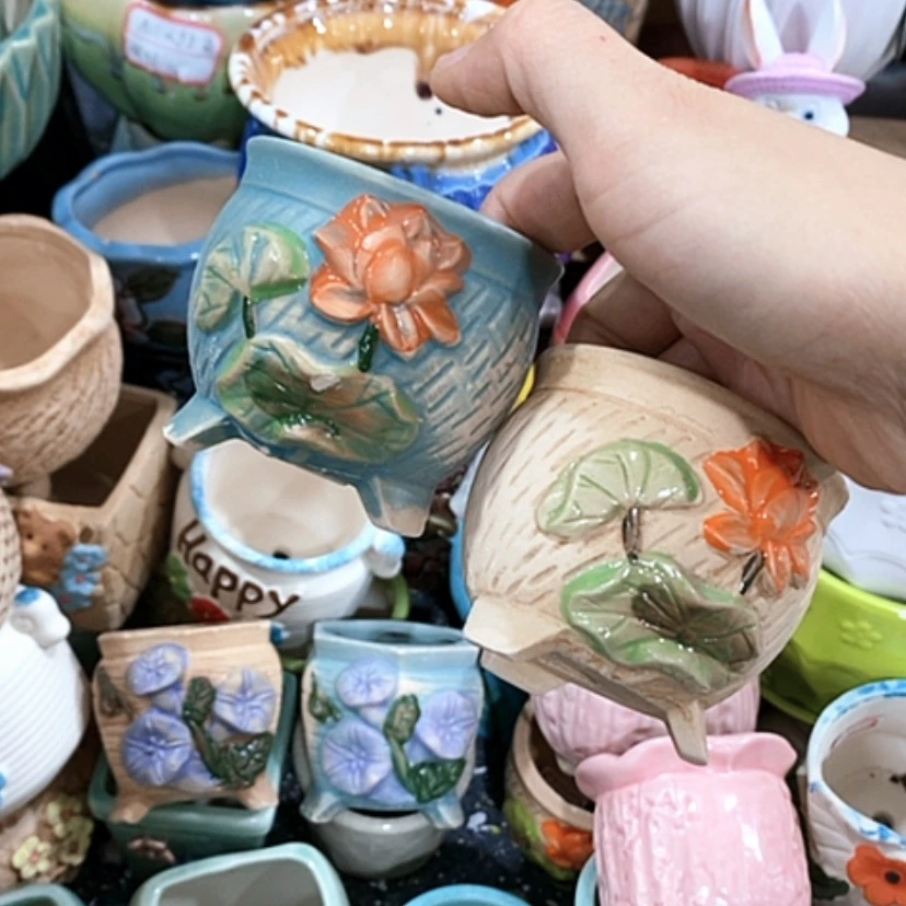 【闪购商品】红陶陶瓷多肉特价店