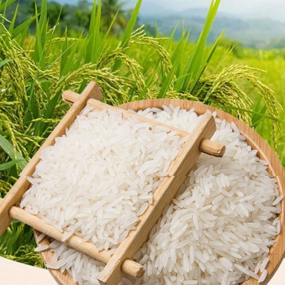 【老何】腾冲贡米（非芡实）