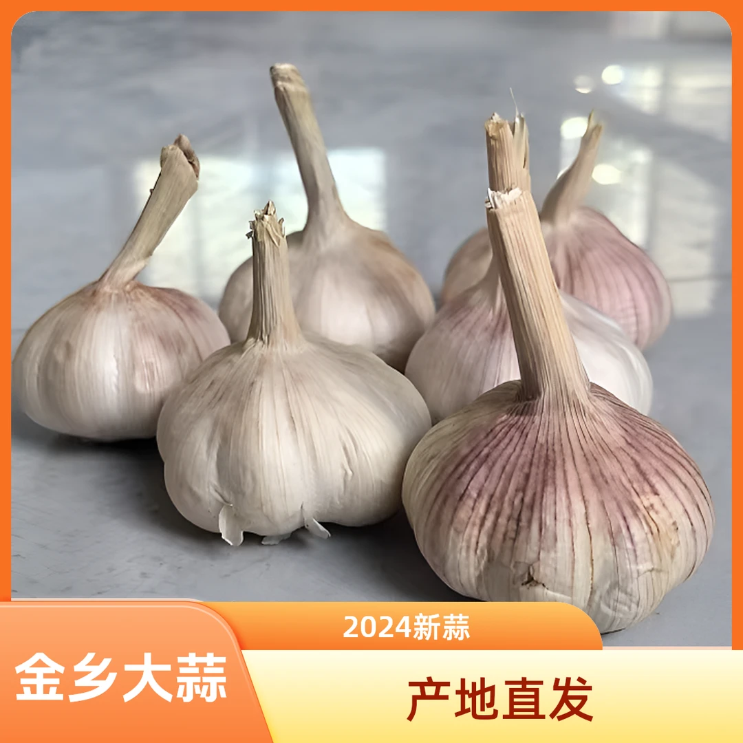 【新店冲量】A精选优质农家紫白皮大蒜脆嫩辛辣带箱5斤产地直发