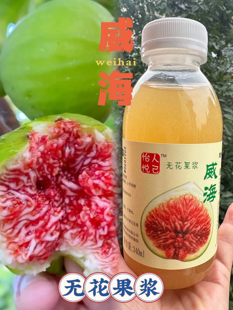 无花果浆威海特产无花果汁饮料营养好喝清甜可口340ml/瓶