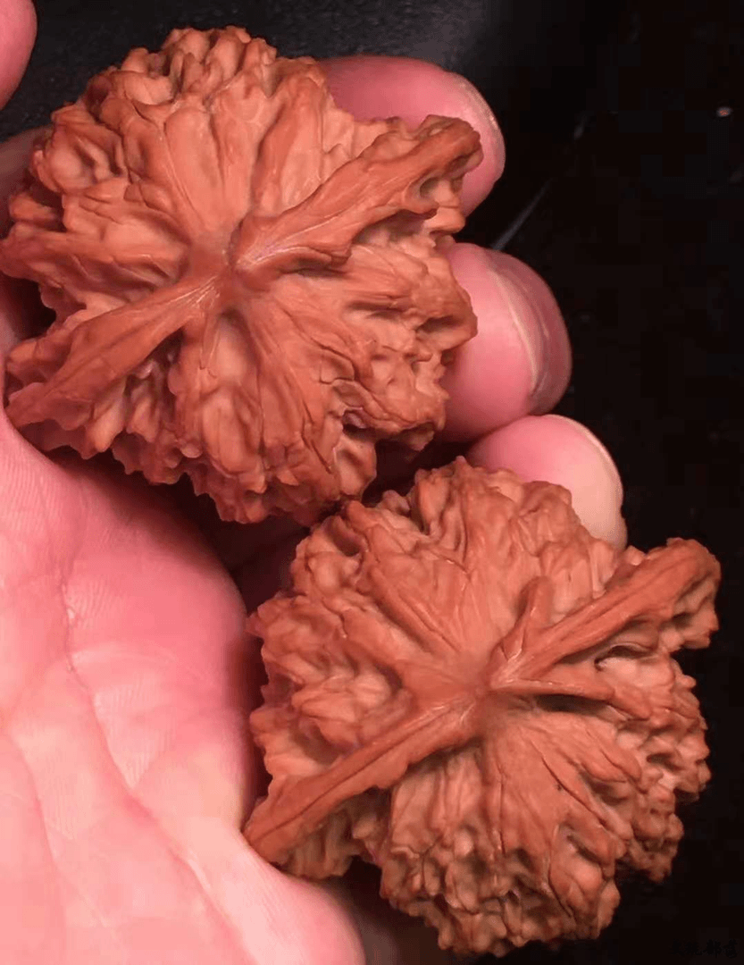 主营精品文玩麻核桃