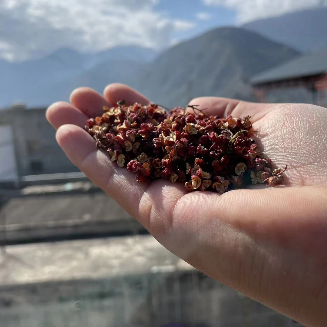 【陇南花椒】大红袍花椒 陇南武都特产花椒鲜香麻250g