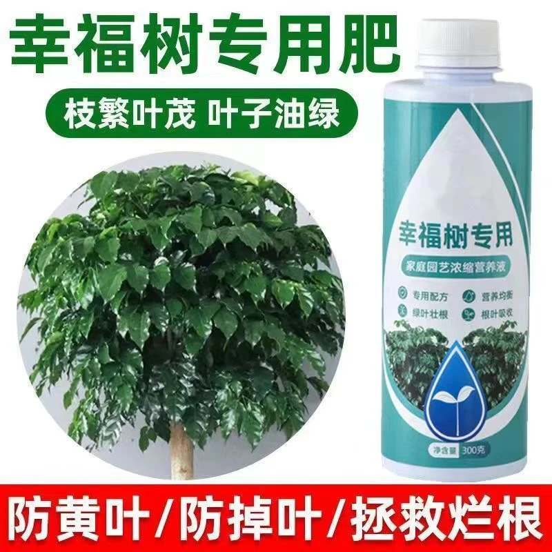 禧菇娘花草博士幸福树适用浓缩营养液家用养花卉绿植水培通用型