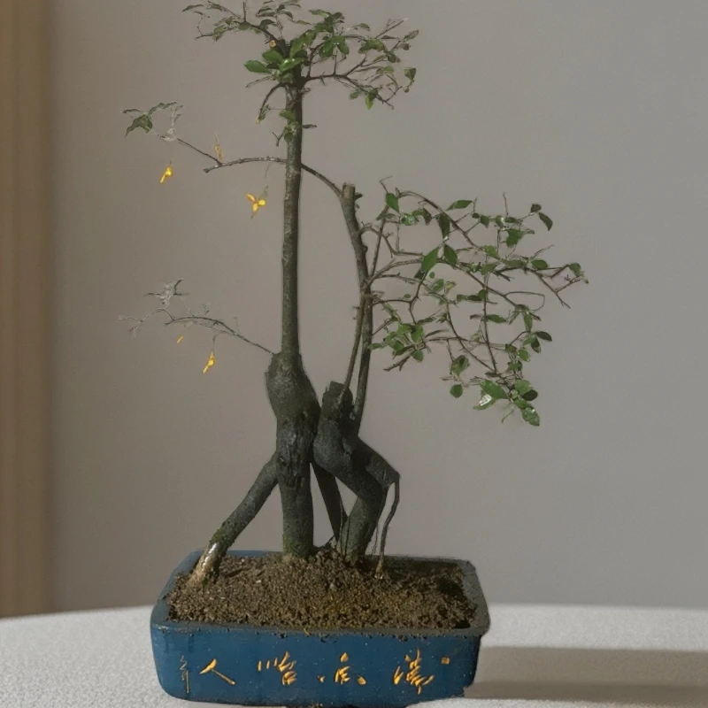 金弹子生庄 一物一拍以直播间为标准