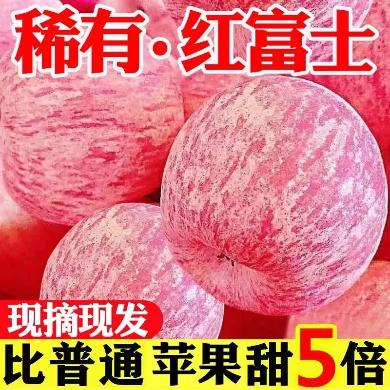 【现摘现发】正宗红富士苹果头茬脆甜冰糖心当季新鲜水果产地直发