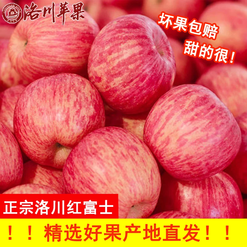 【现摘现发】陕西洛川红富士苹果新鲜当季丑苹果脆甜冰糖心时令水果