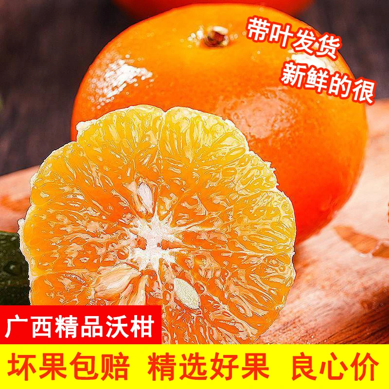 【现摘现发】广西沃柑应季新鲜砂糖蜜柑橘桔子水果原产地直发送礼