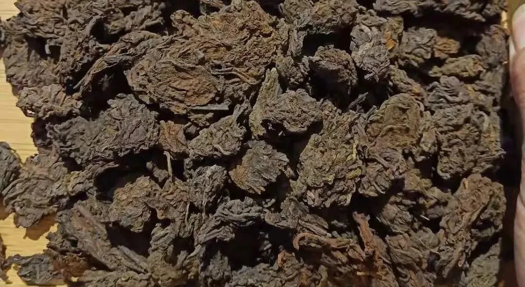 三鹤【粒粒陈六堡茶】颗粒块状紧结色泽红褐；滋味醇滑，汤感浓稠红亮