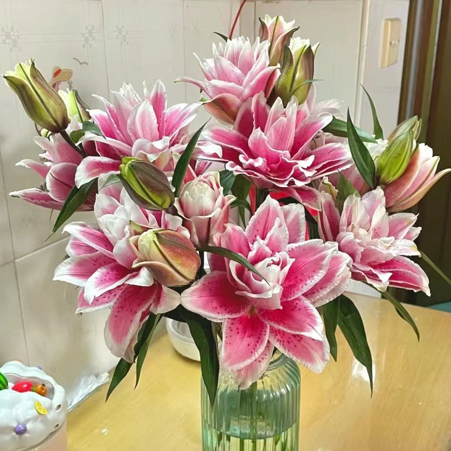 zb【火星之恋】重瓣百合云南鲜花基地直发