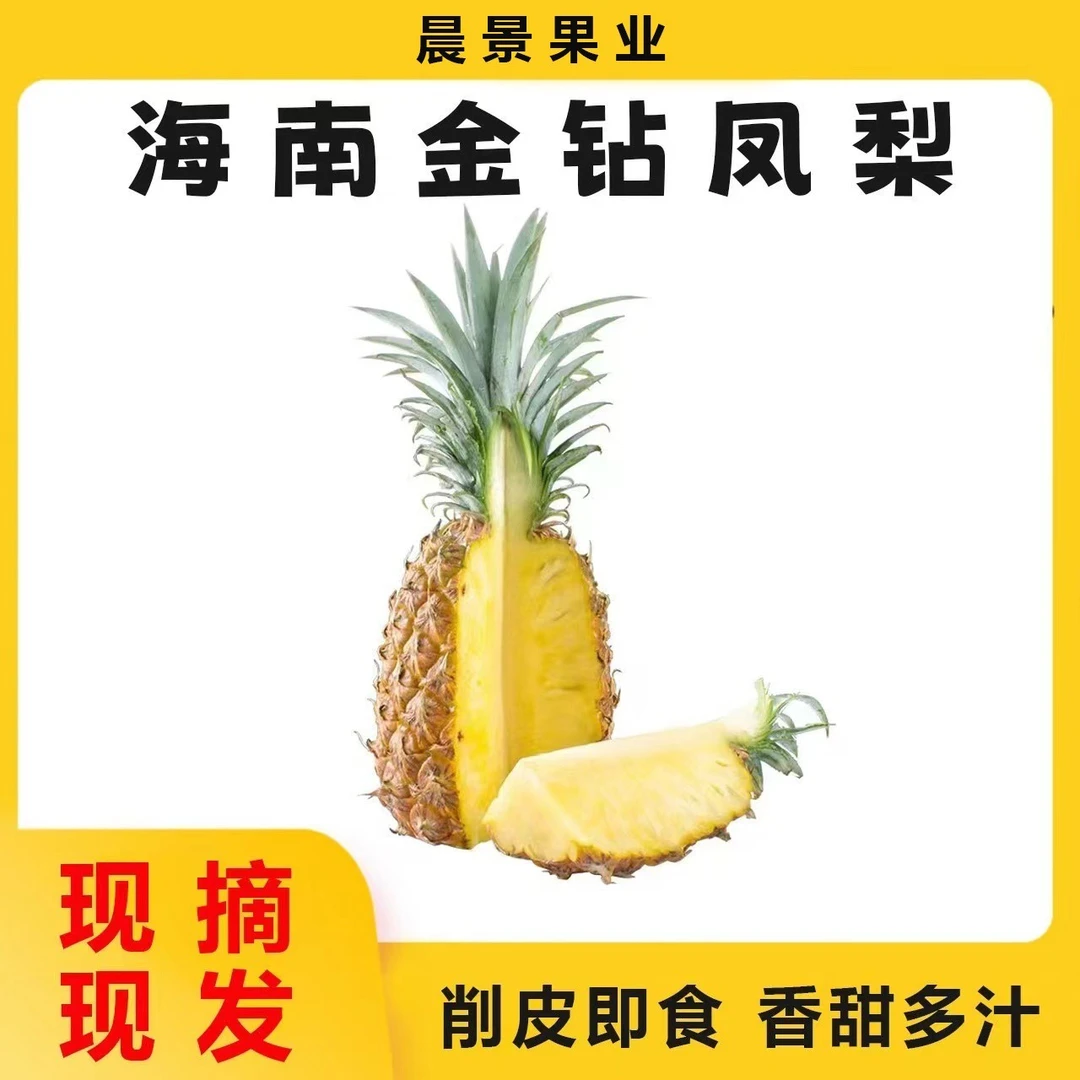 海南正宗优质金钻凤梨新鲜现摘树上熟4.5-5斤4-5个装多汁美味