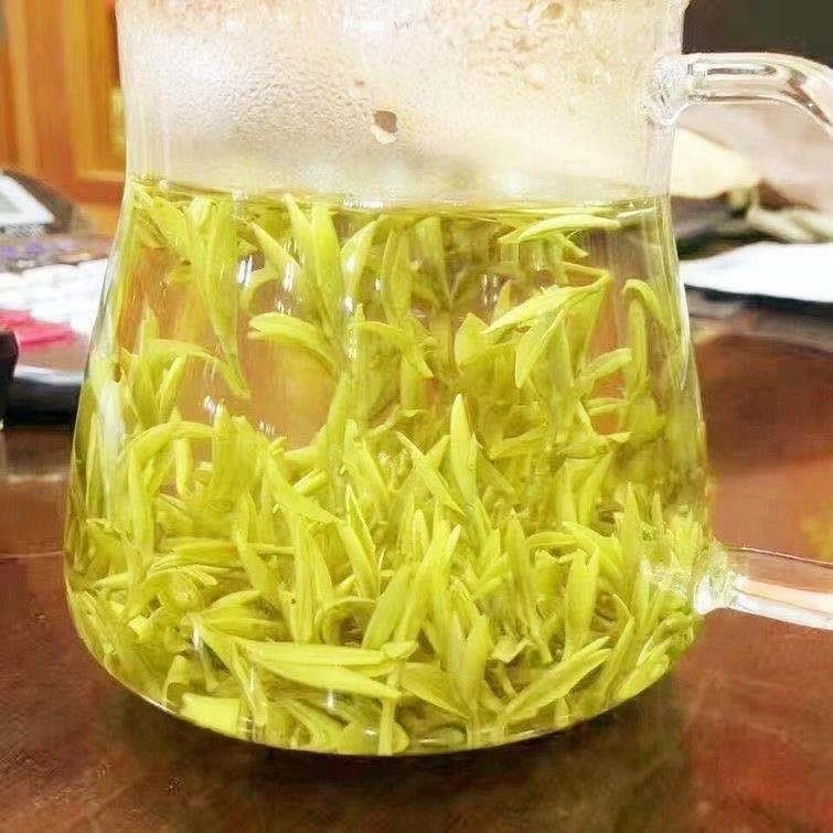 lsB高山黄金芽直播推荐浓香型豆香味新茶买一斤送50克送鹅蛋杯