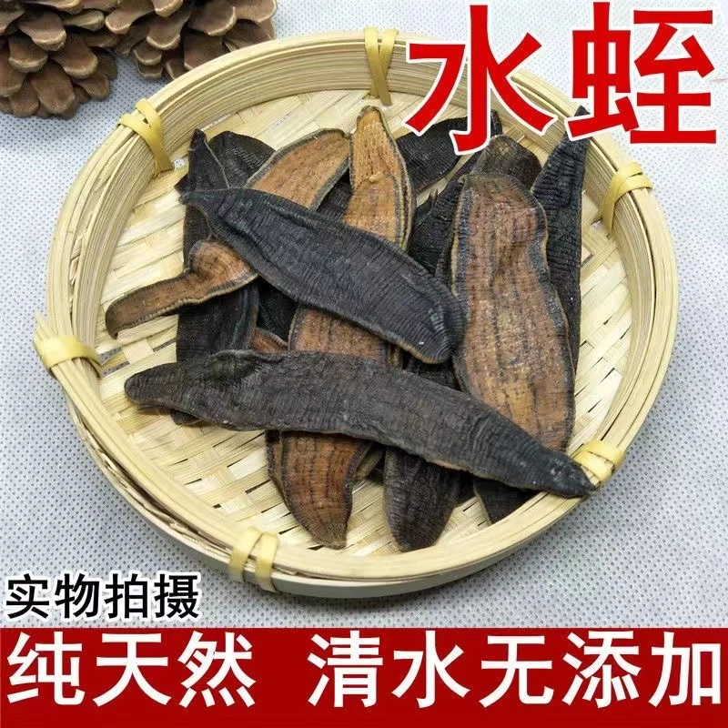 农家新晒大黄 水蛭虻虫50克100克农产品健康实物