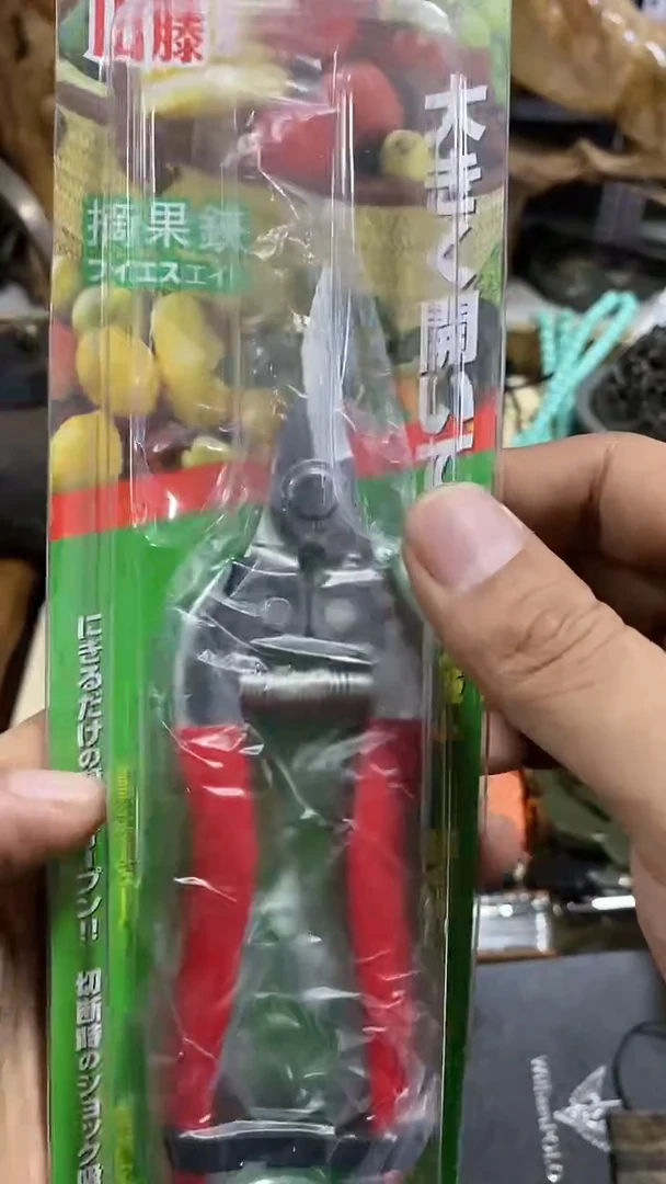 【闪购商品】瓷片1111111111111