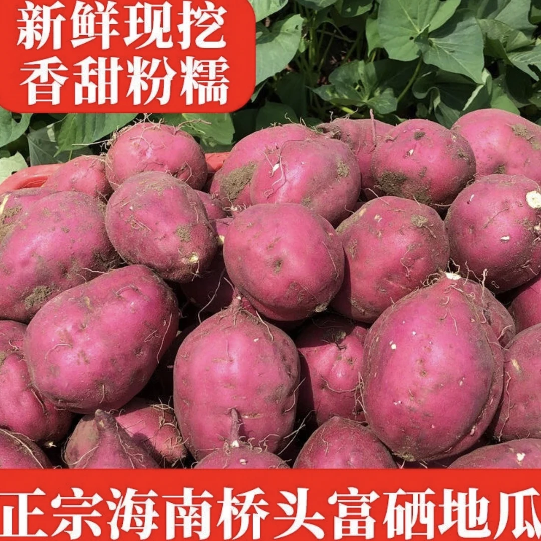圆果海南生鲜桥头富硒地瓜新鲜现挖农家优质番薯地瓜