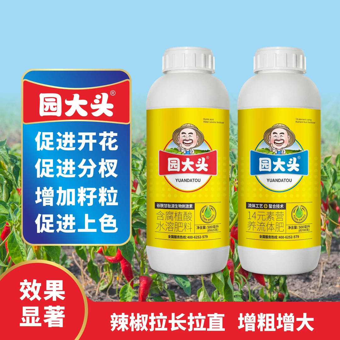 园大头辣椒高纯度高效肥使植物开花更多生根壮苗膨大拉直催芽授粉