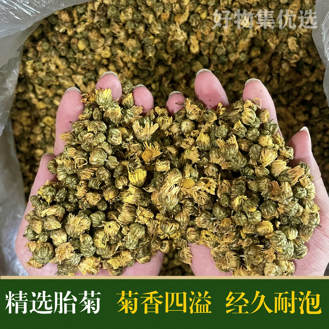 精选胎菊 清新淡雅 散装农产品