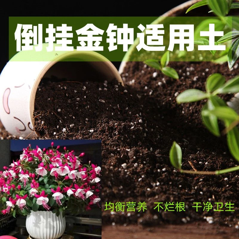 倒挂金钟适用土30斤种花土壤营养土通用疏松透气土家用有机种植土