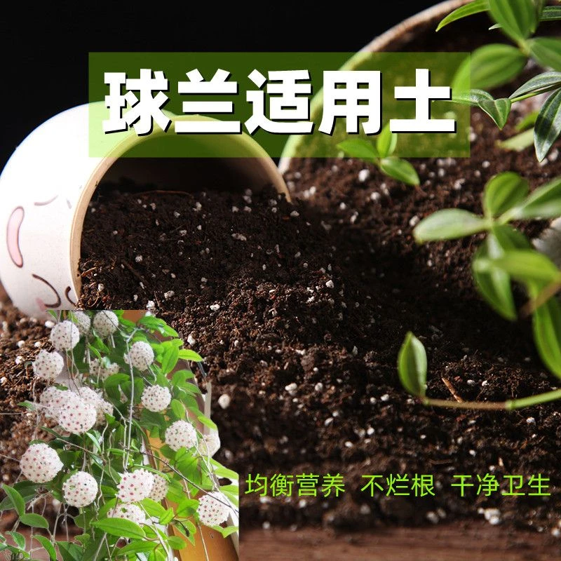 球兰适用土30斤种花土养花营养土通用型有机土种菜土多肉种植土壤