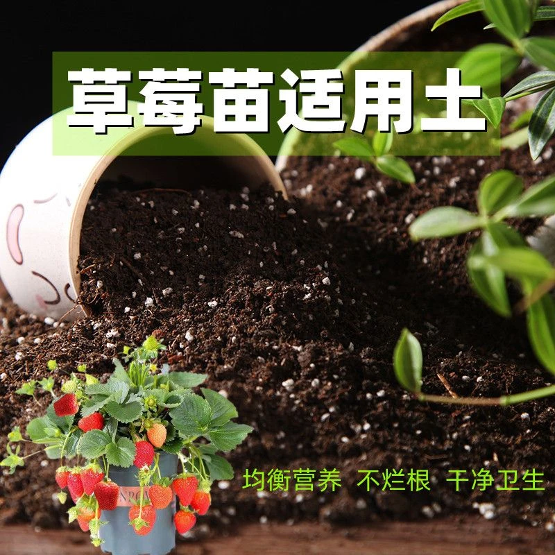 草莓苗适用土家用养花营养土通用型透气有机土盆栽种植土壤肥植物