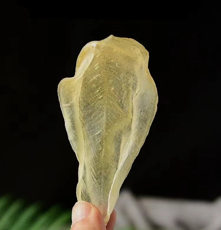 【滋补品】鱼胶花胶改价链接  重量，规格，以直播间为准