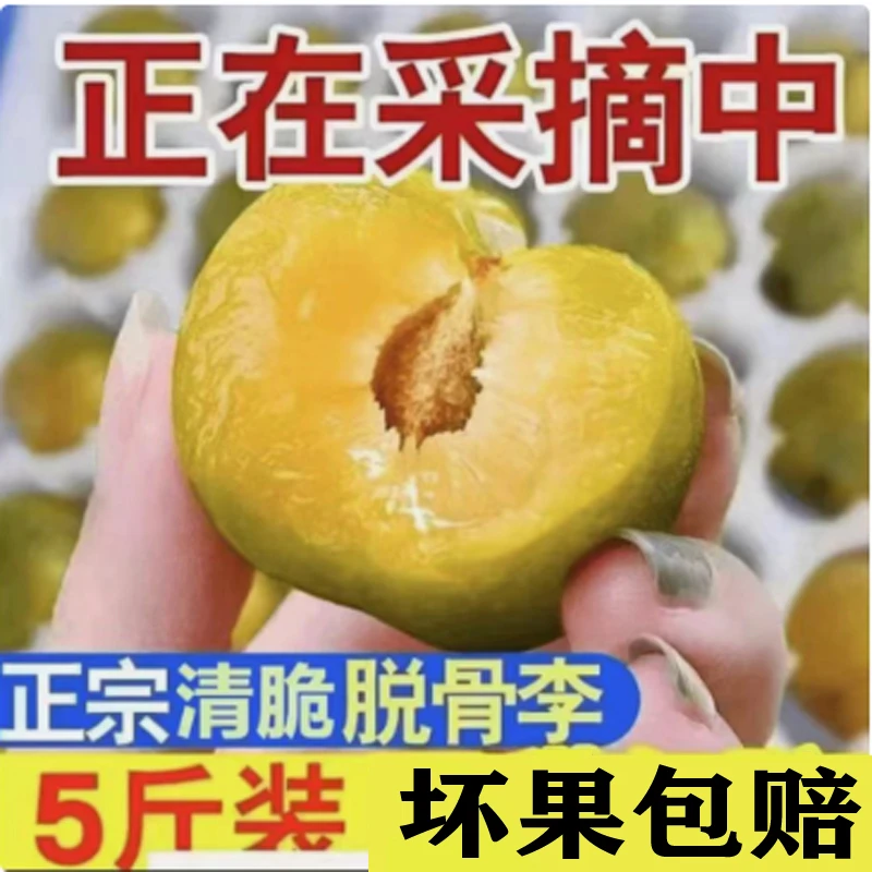 高山青脆李新鲜应季水果酸甜爽口5斤脱骨李