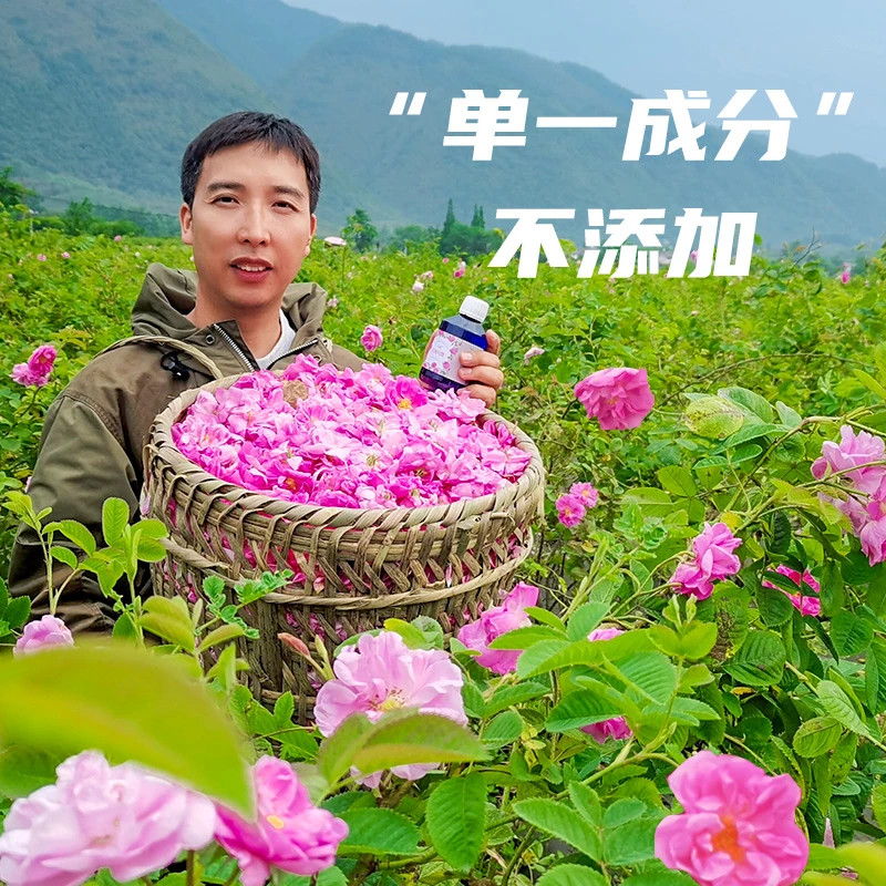 丸蔻 大马士革玫瑰纯露补水保湿提亮湿敷天然玫瑰500ML