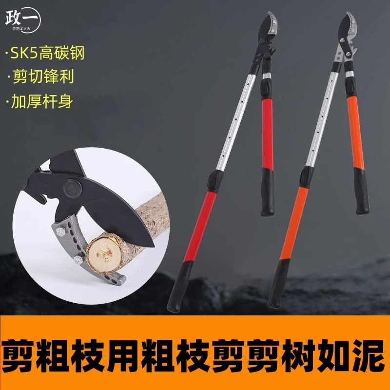 修剪树枝剪刀粗枝剪伸缩园林果树强力大力工具摘水果神器大修枝剪