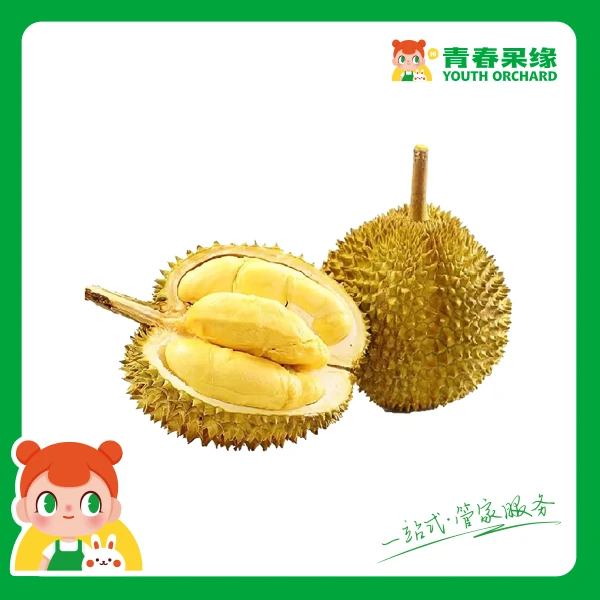 【A+级】金枕榴莲鲜果【香甜软糯】