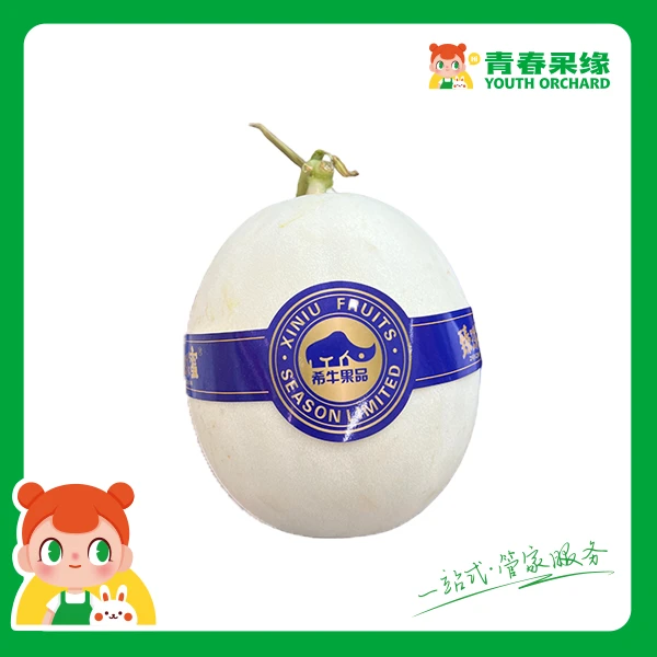 臻珠蜜一个【1500g左右 微酥香甜】