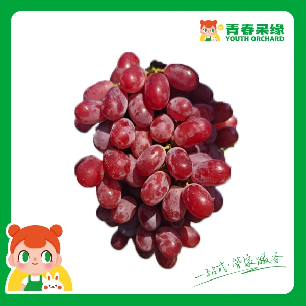 克瑞森无籽红提250g【纯甜无酸 无籽方便】