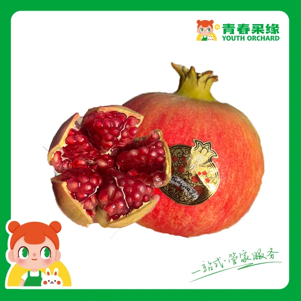 突尼斯软籽石榴【寓意多子多福 吉祥如意】