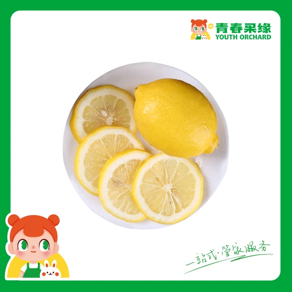【维C丰富】柠檬一包/ 180g