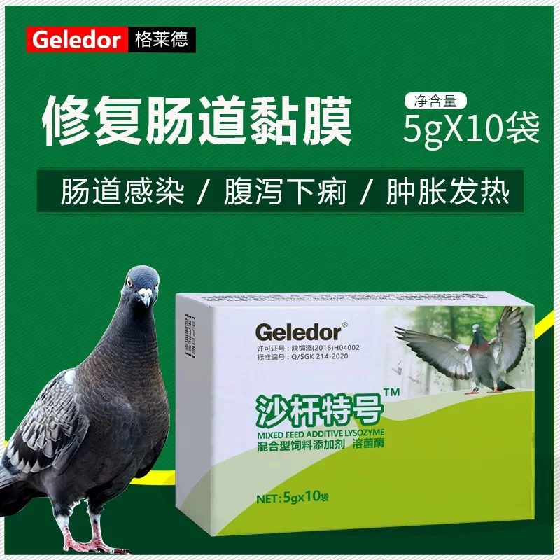 格莱德沙杆特号信种鸽子拉稀腹泻水绿便沙门氏菌非鸽药大全常见病
