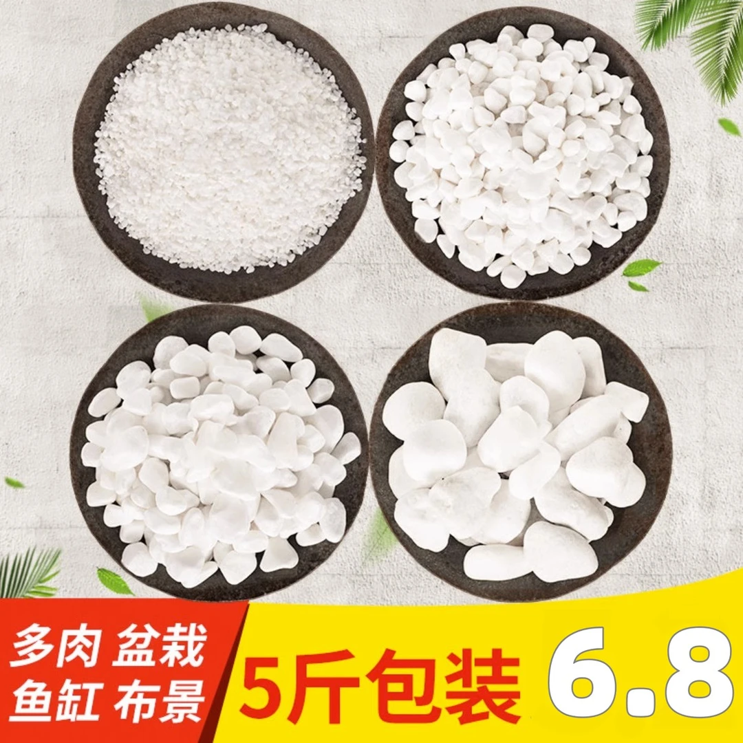 白石子天然鹅卵石雨花石多肉盆栽铺面庭院造景花盆装饰白色小石头