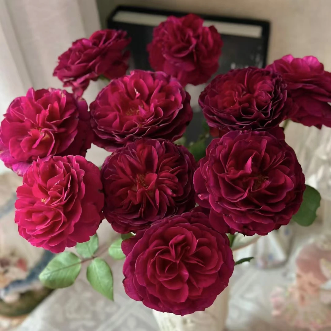 【蓝莓戒指】(全场2单包邮)不含加购 拍1单发任意1枝花花 10%不售后