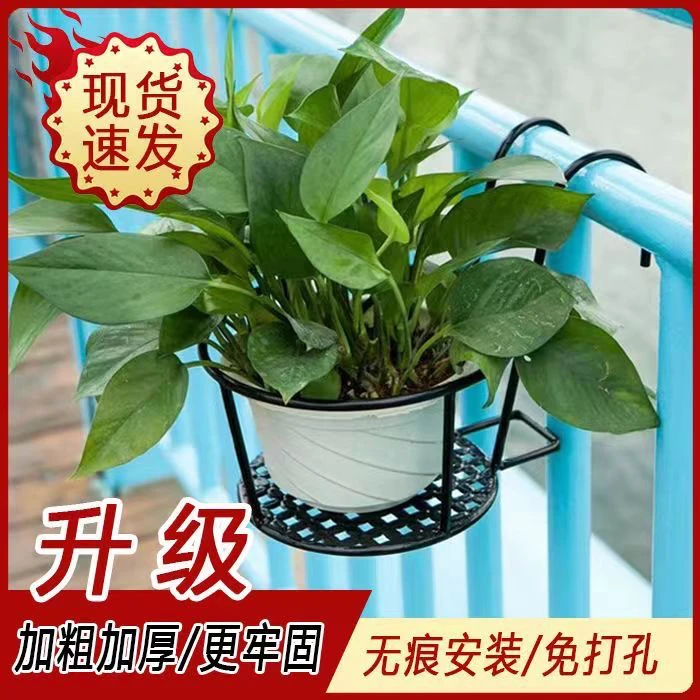 铁艺栏杆护栏阳台花架悬挂式花盆架绿萝多肉吊兰花架子窗台置物架