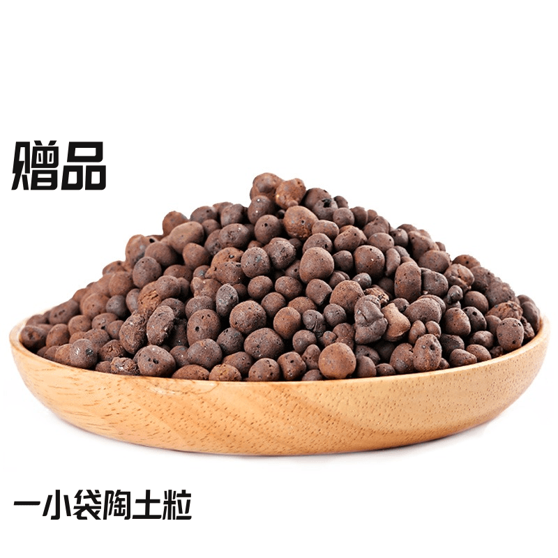一包陶土粒