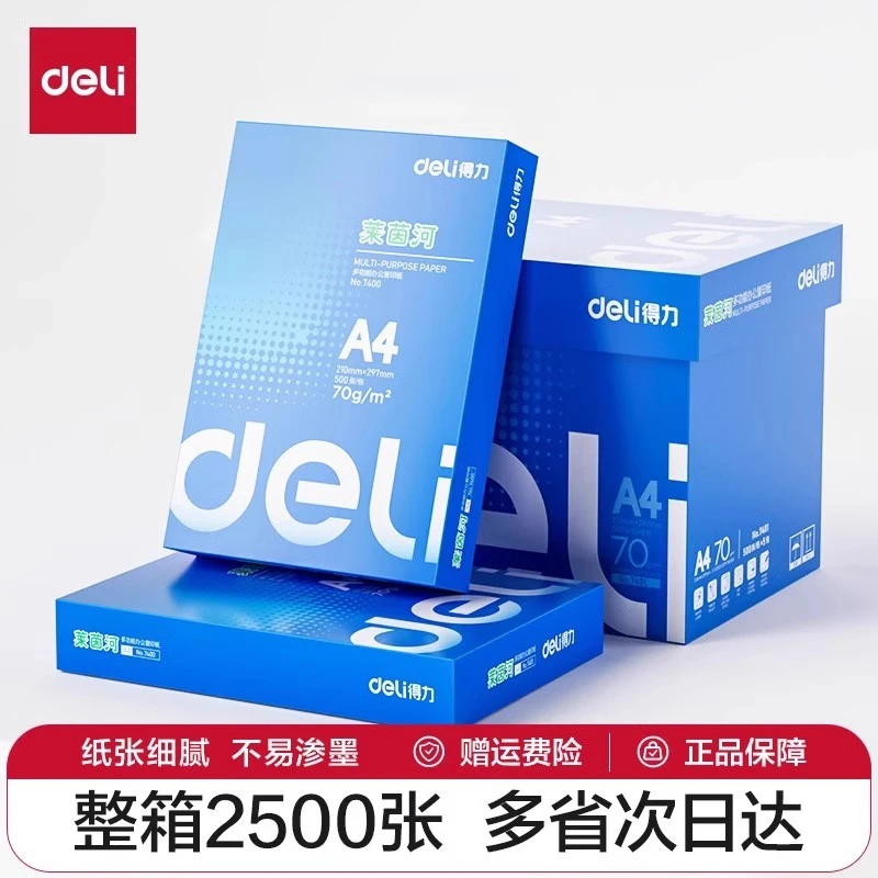 得力复印纸莱茵河办公用纸A4复印纸学生草稿纸5包整箱装a4打印纸