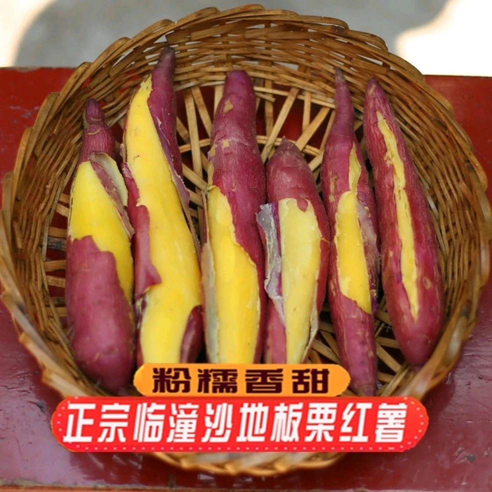 5斤净重陕西板栗红薯干面粉香甜烤地瓜板栗红薯粗粮农产品甘甜