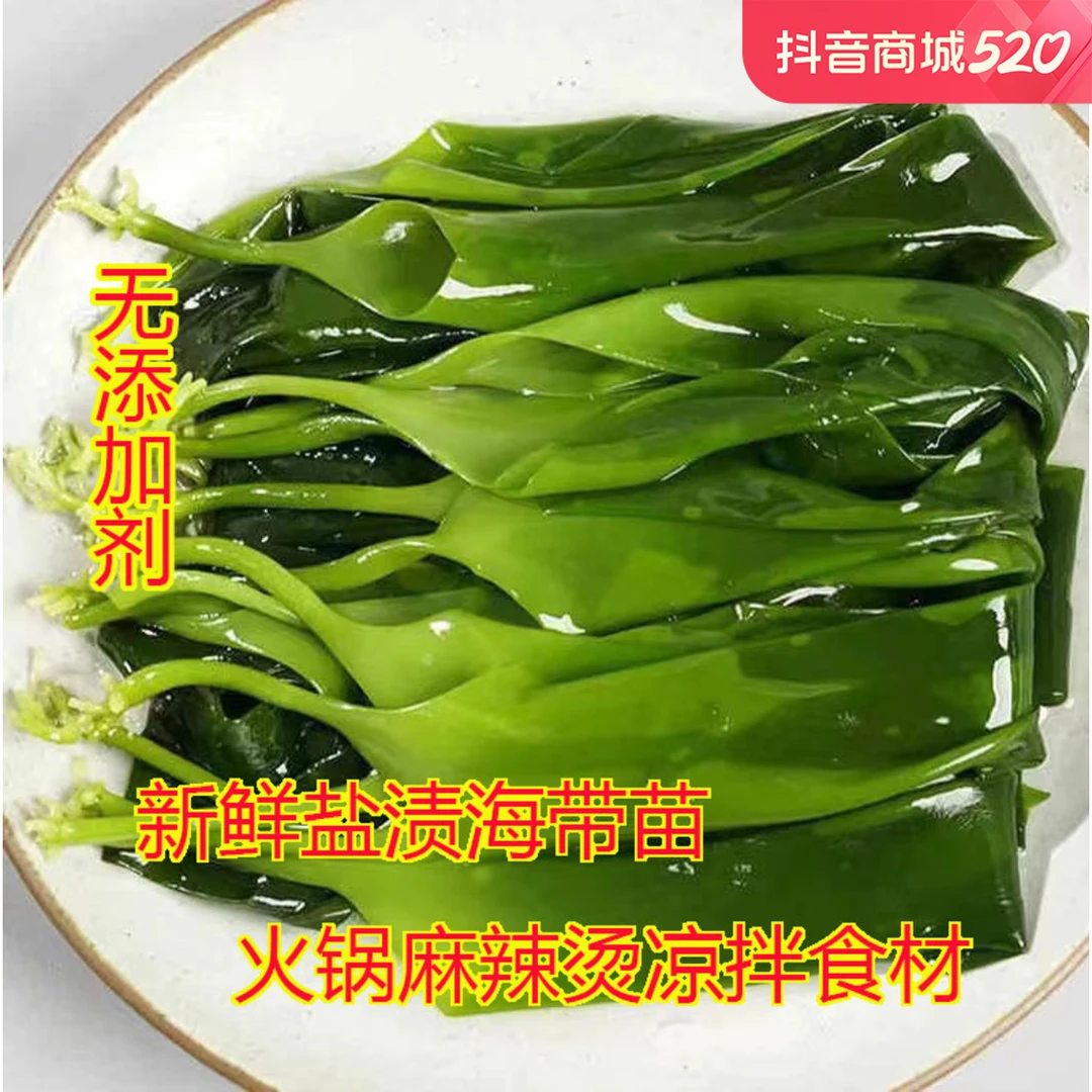 福建新鲜盐渍海带嫩苗火锅伴侣麻辣烫串串香食材500g霞浦特产