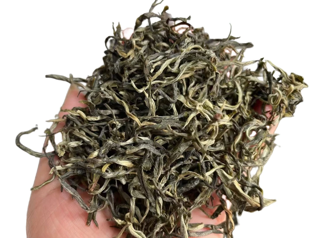 头春头采清爽滇绿茶嫩绿清香回甘凤庆大叶种老品种古树原料