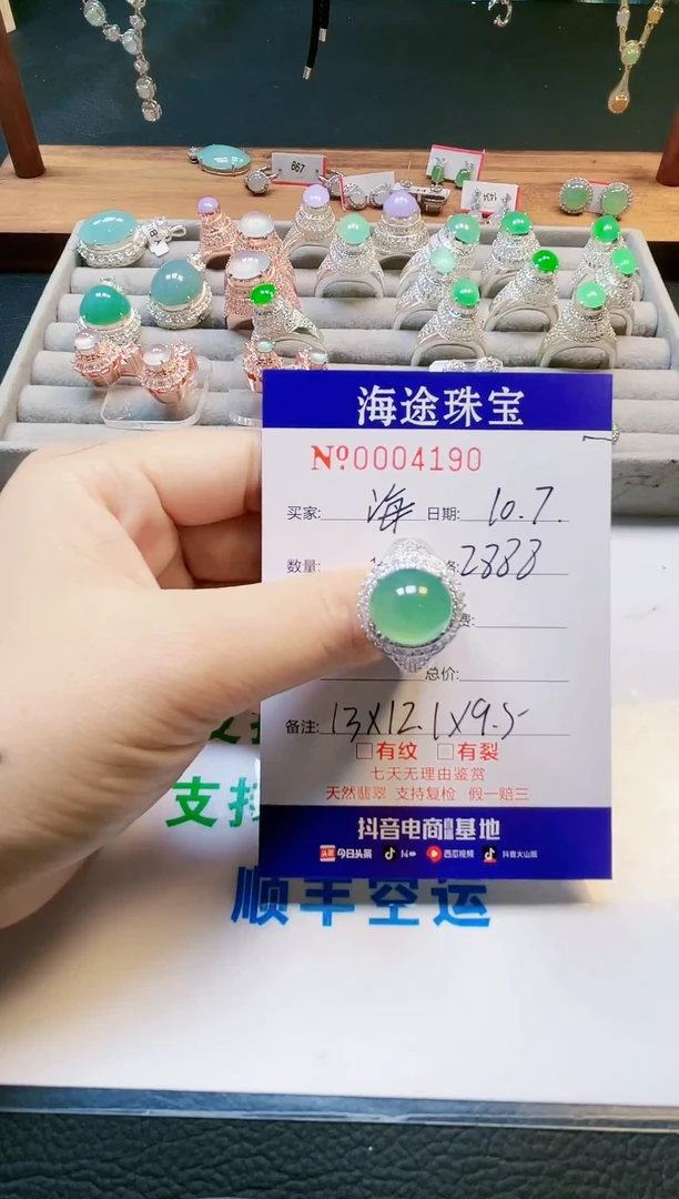 【闪购商品】翡翠颈饰未镶嵌41900000