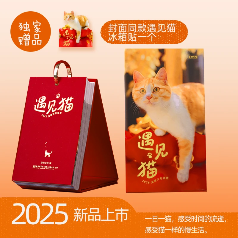 【赠冰箱贴】2025新年日历台历 遇见猫 2025温暖治愈指南 农历乙巳
