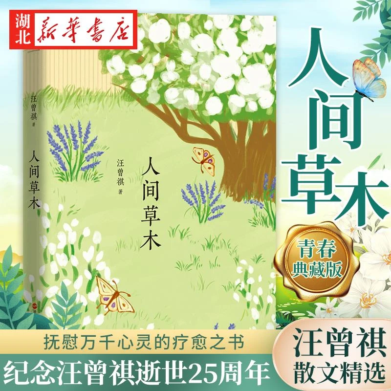 人间草木汪曾祺散文精选中小学生课外阅读文学书单书籍人间草木北
