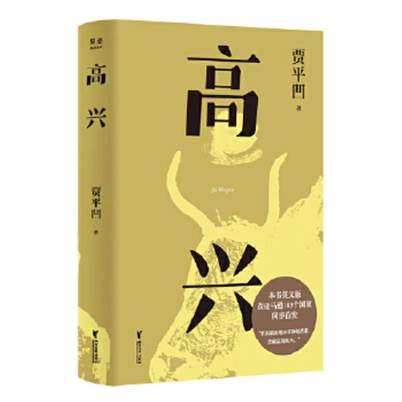 贾平凹作品 高兴