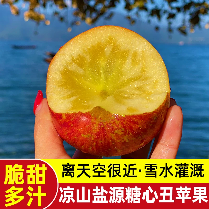 大凉山盐源冰糖心丑苹果当季水果新鲜现摘70-75mm