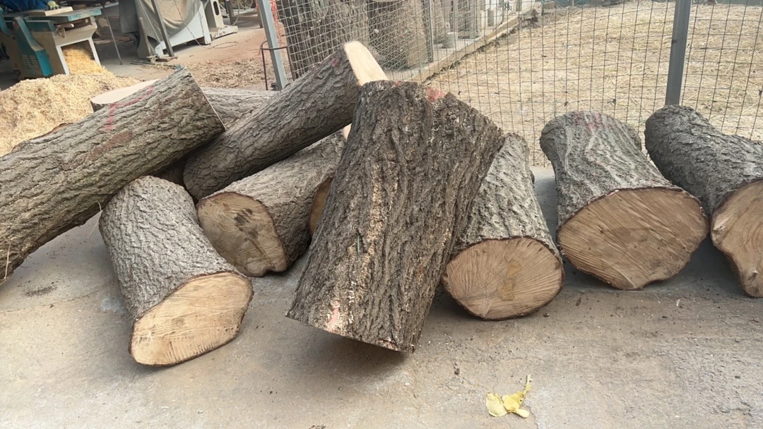 银杏树菜板37x5去皮正圆